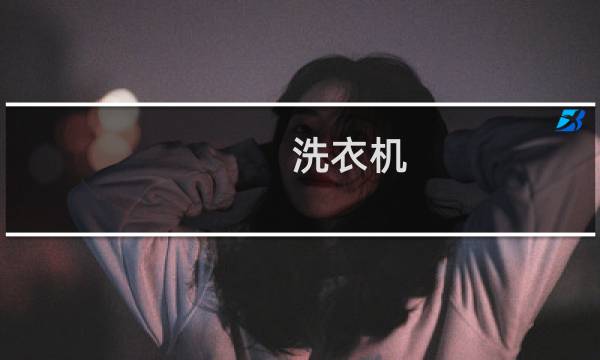 洗衣机 清洗 - 蟑螂爬进洗衣机夹层里